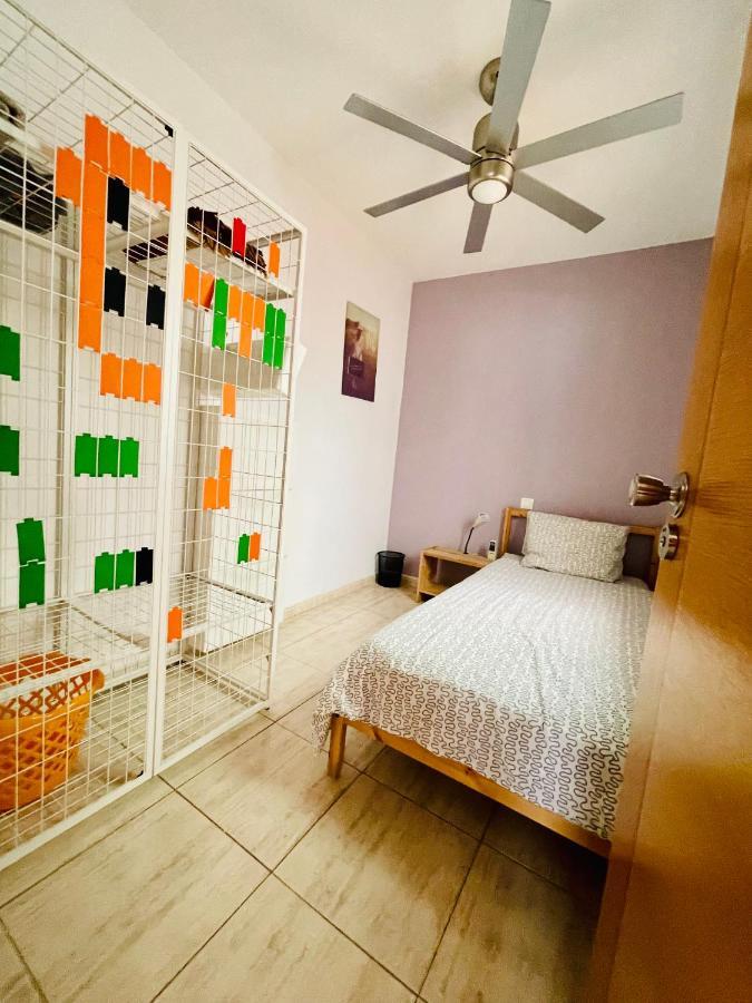 Apartament Piso Amplio Familiar Telde Zewnętrze zdjęcie